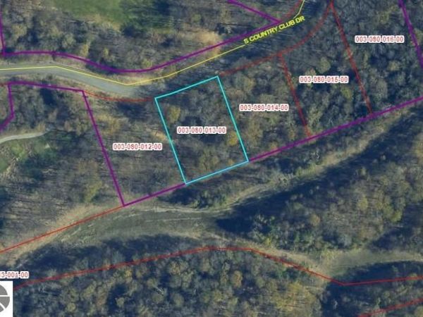 Club Drive S, Cedar, MI 49621