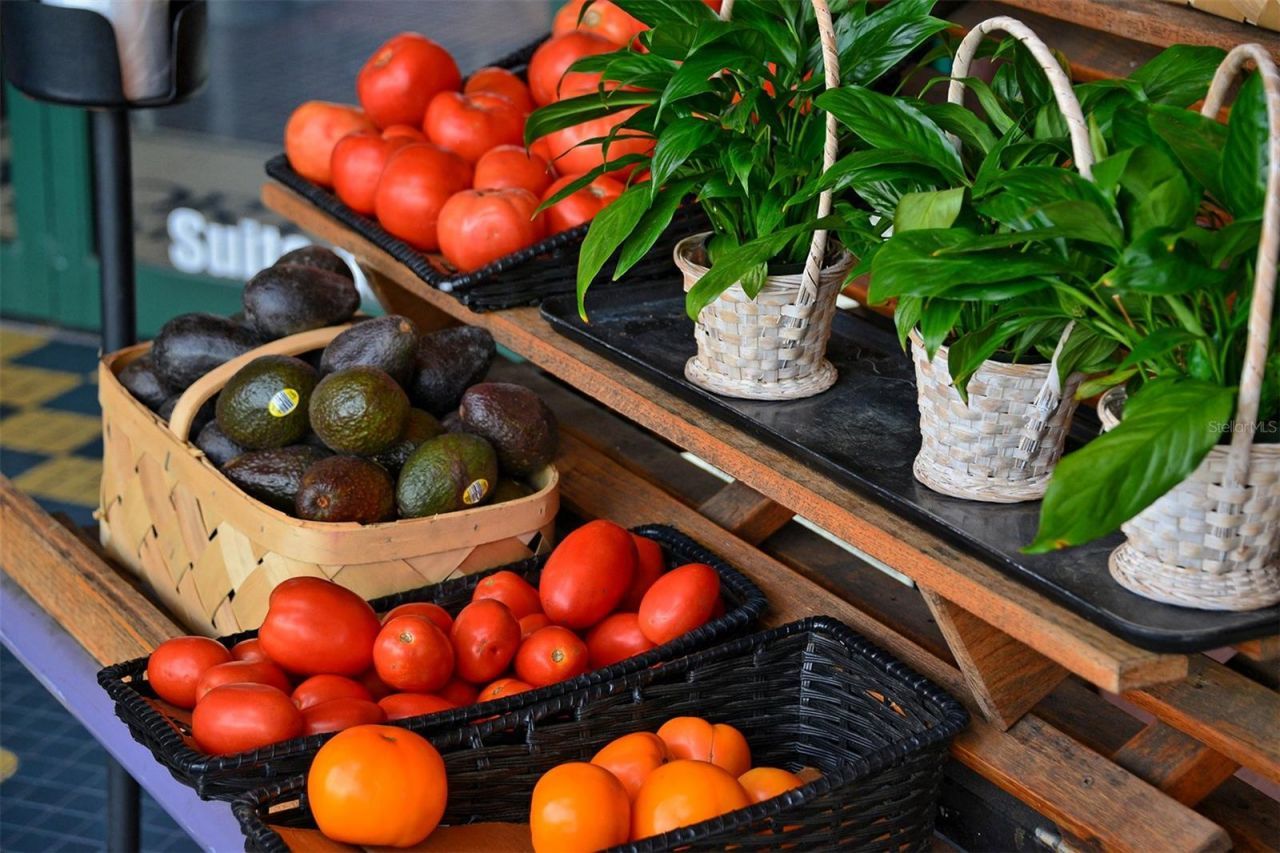 1747 Waldemere Street, Sarasota, FL 34239 Photo