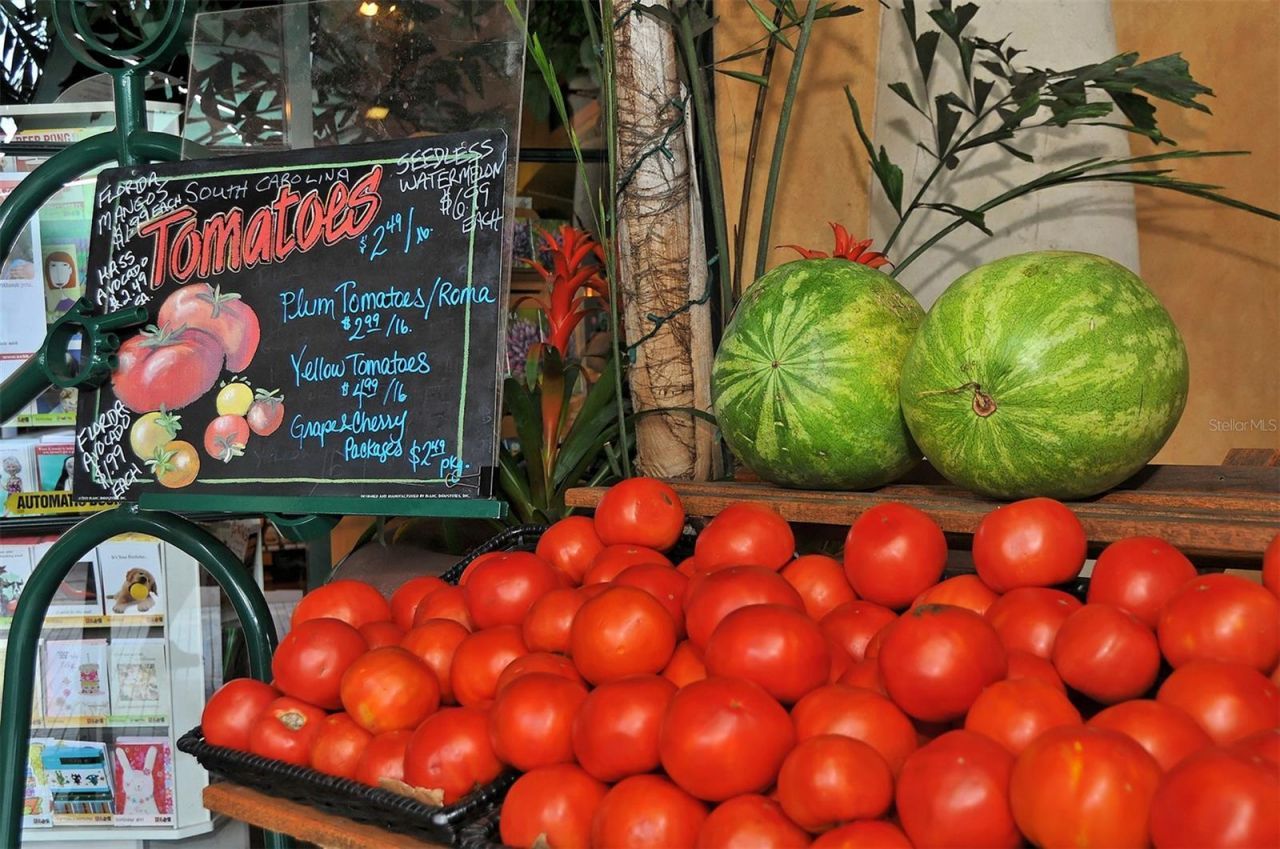 1747 Waldemere Street, Sarasota, FL 34239 Photo