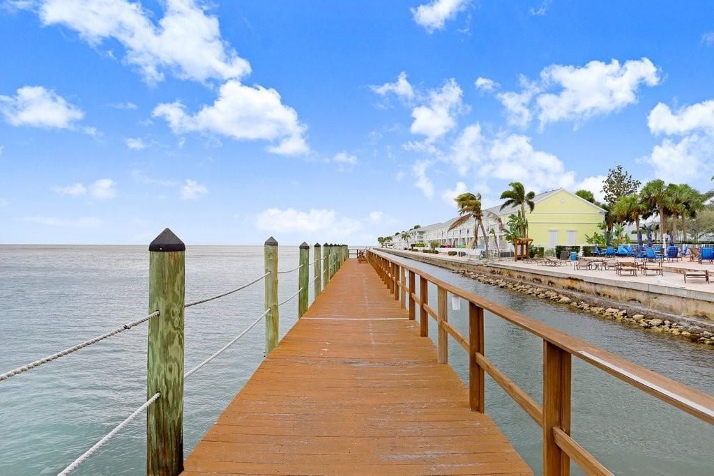 5012 Starfish Drive Se, Unit B, Saint Petersburg, FL 33705 Photo