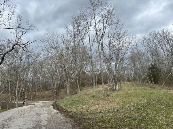 Lot # 7 New Zion Road, Falmouth, KY 41040