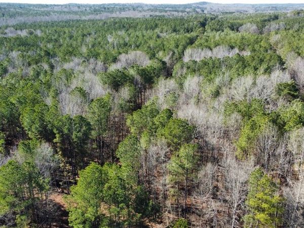 12 County Road 51, Fayette, AL 35555