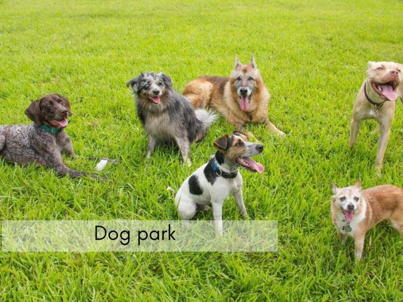 155 Grand Ridge Road, Howard, OH 43028 Photo 41