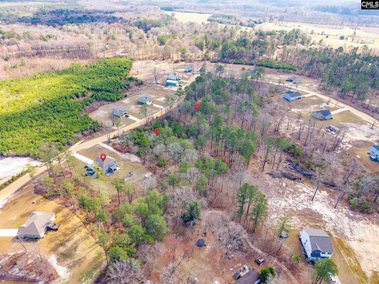 1604 Green Branch Circle Photo 58