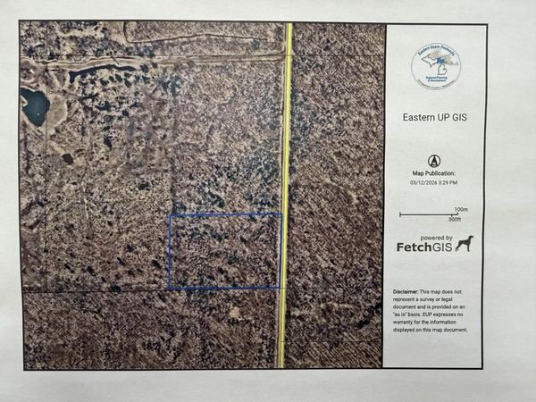 TBD S brasser RD, Sugar Island, MI 49783