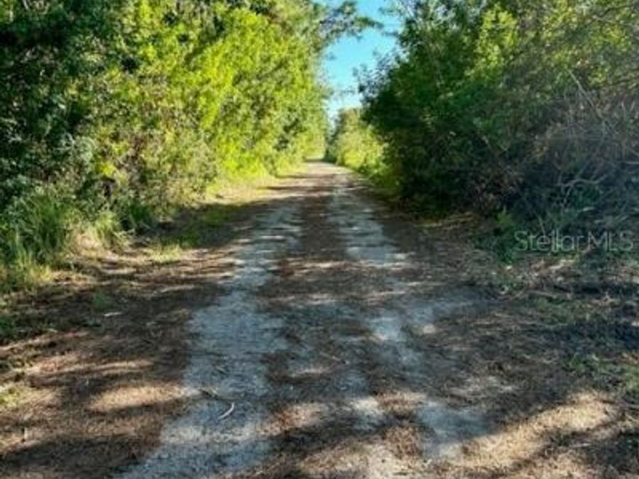 Property Image 11