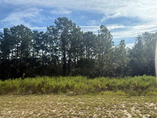 TBD SW 135TH STREET ROAD , OCALA, FL 34473