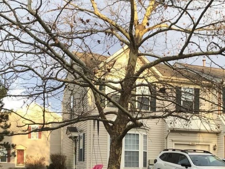 141 Leeds Creek Circle, Odenton, MD 21113 Main Photo