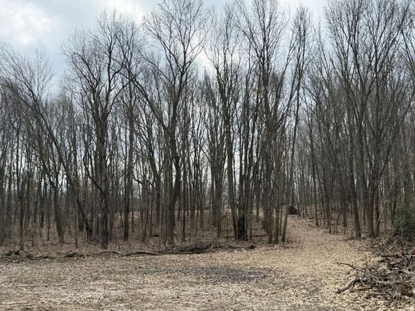 V/L Yawger Road, Battle Creek, MI 49017