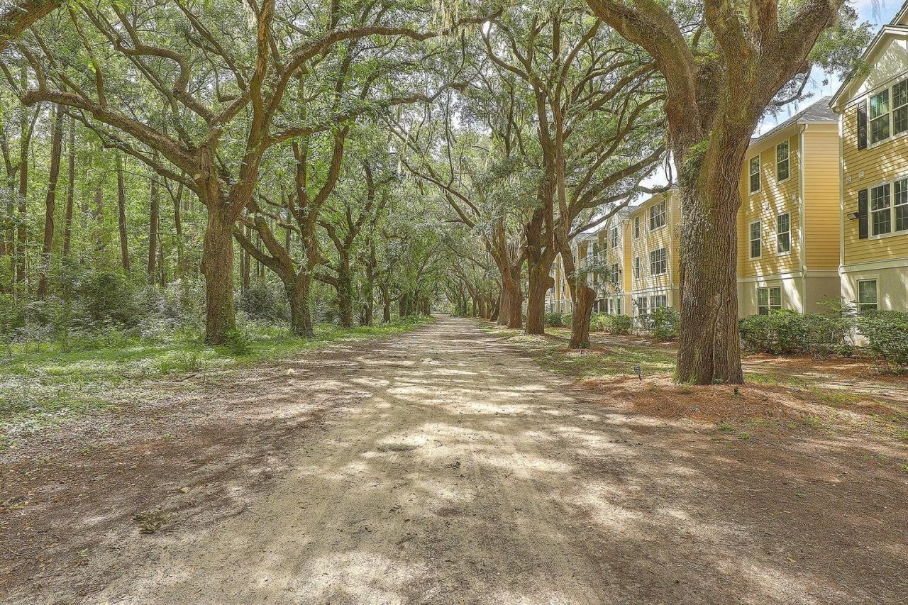 60 Fenwick Hall Allee Alley Photo 39