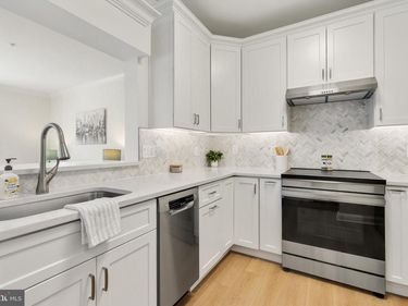 4551 STRUTFIELD LANE, Unit 4212, ALEXANDRIA, VA 22311