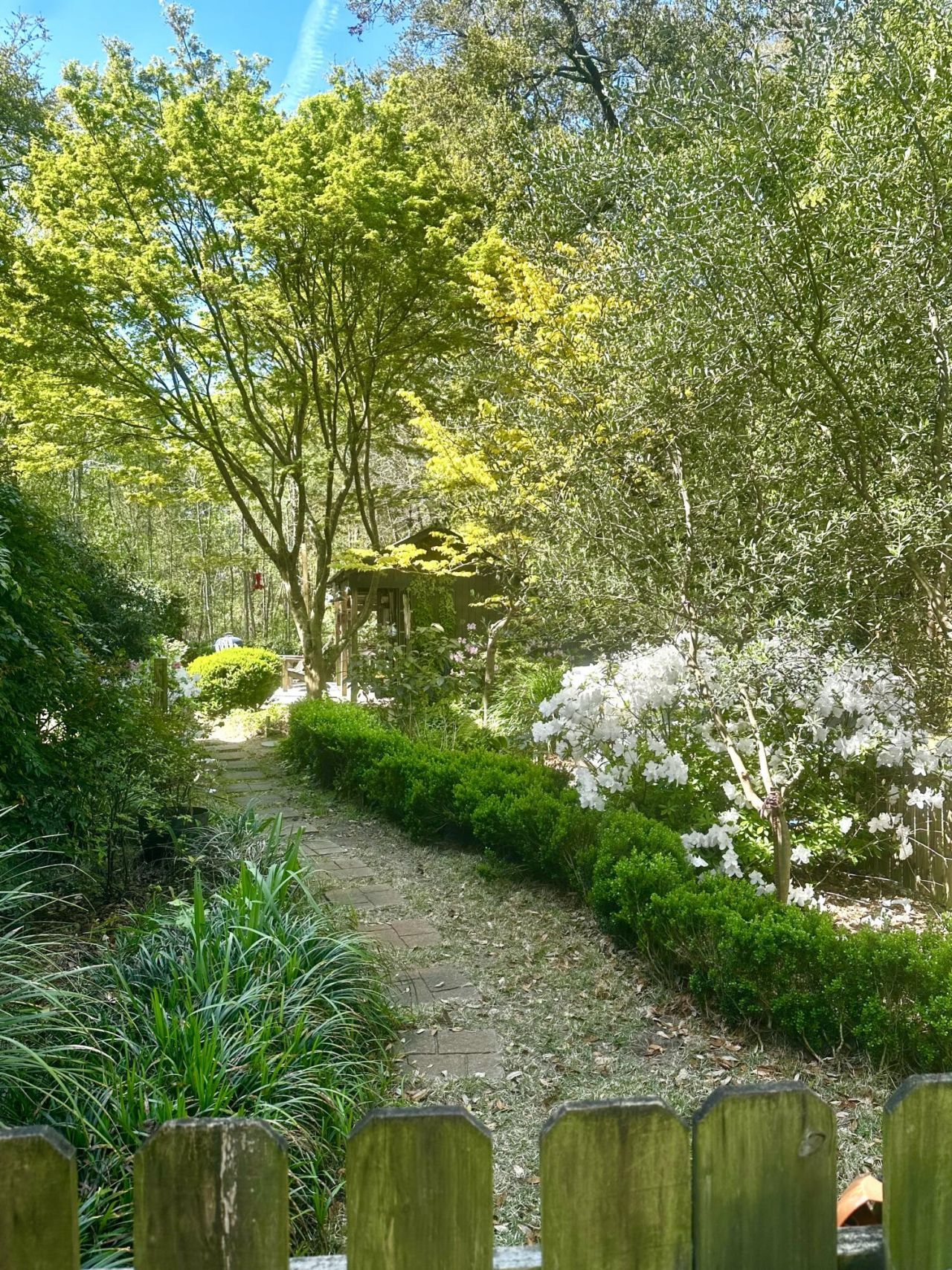 1109 Lazy Lane Court Photo 6