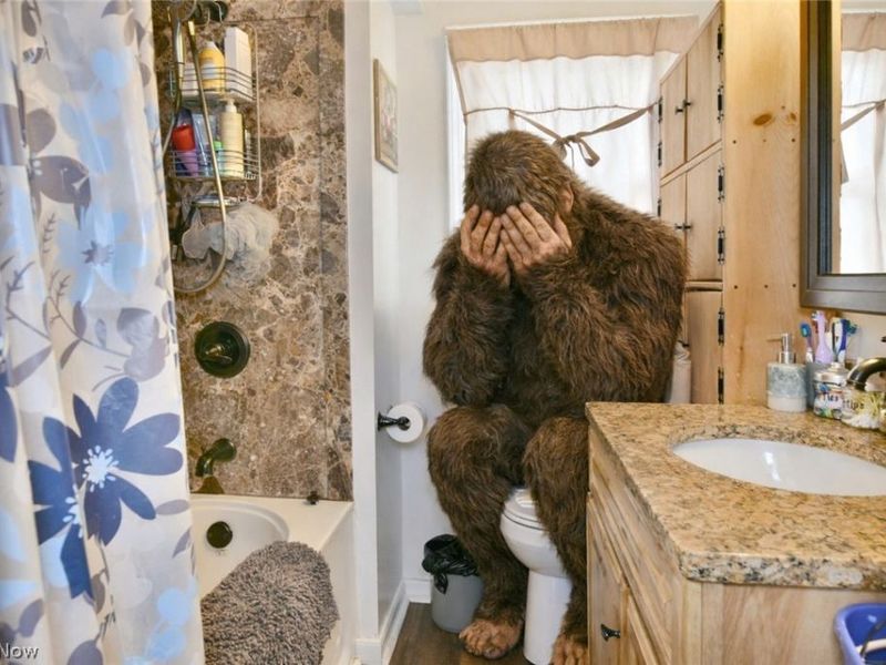 135 Clingan Street, Hubbard, OH 44425 Photo 26