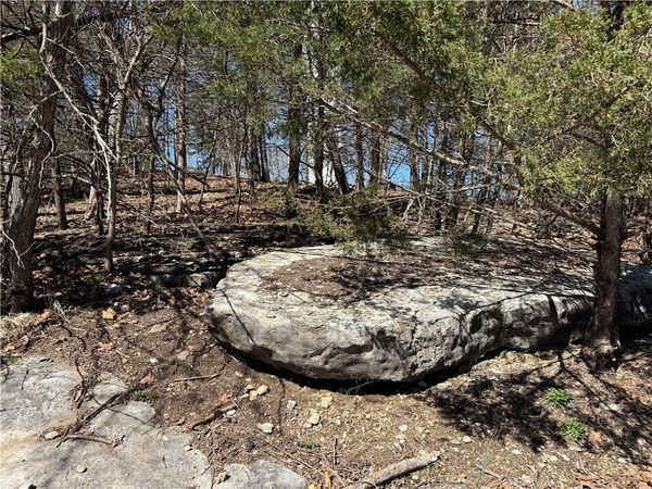 Rocky Top Circle , Holiday Island, AR 72631