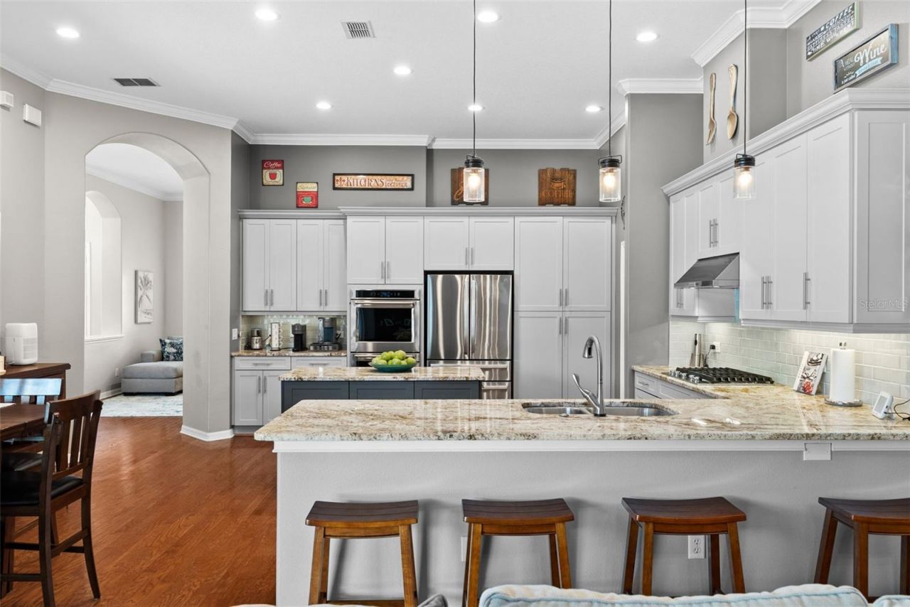 21300 Sky Vista Drive, Land O Lakes, FL 34637 Photo