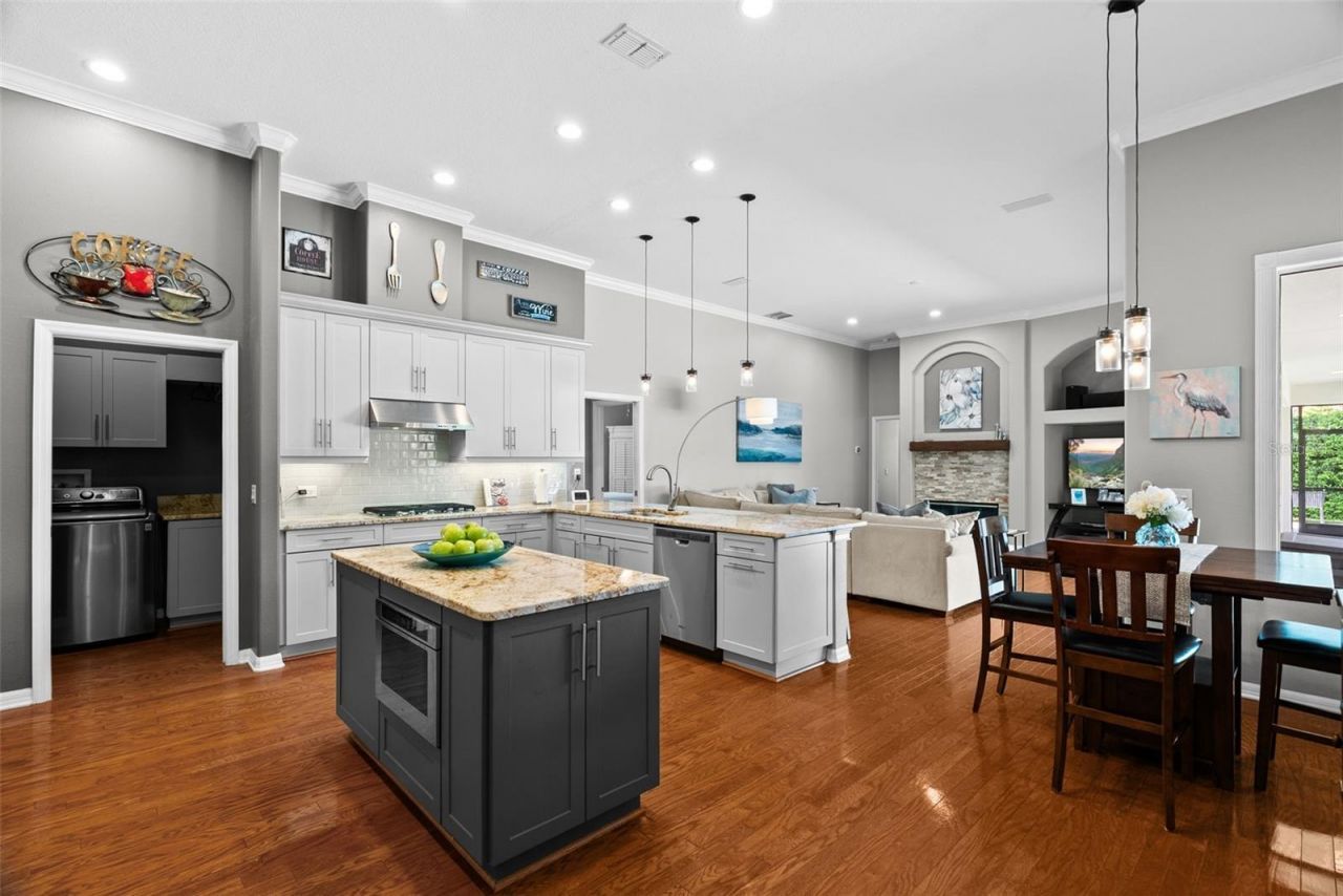 21300 Sky Vista Drive, Land O Lakes, FL 34637 Photo