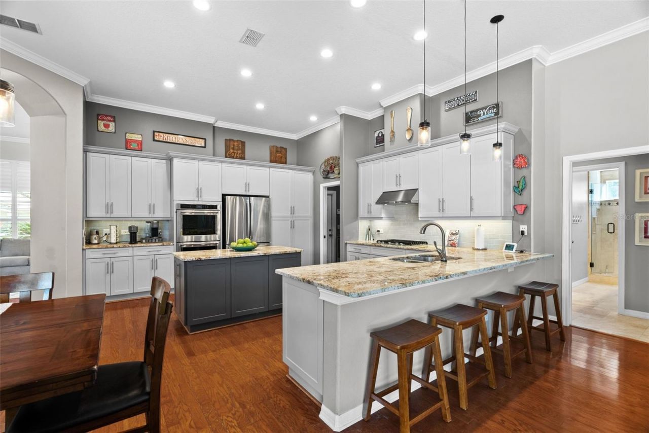 21300 Sky Vista Drive, Land O Lakes, FL 34637 Photo