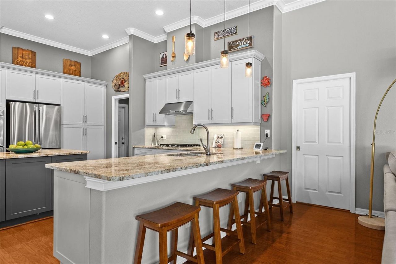 21300 Sky Vista Drive, Land O Lakes, FL 34637 Photo