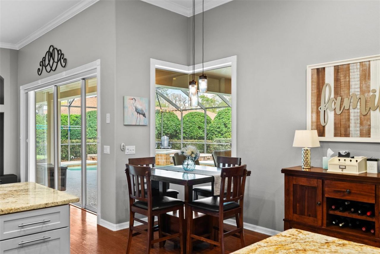 21300 Sky Vista Drive, Land O Lakes, FL 34637 Photo