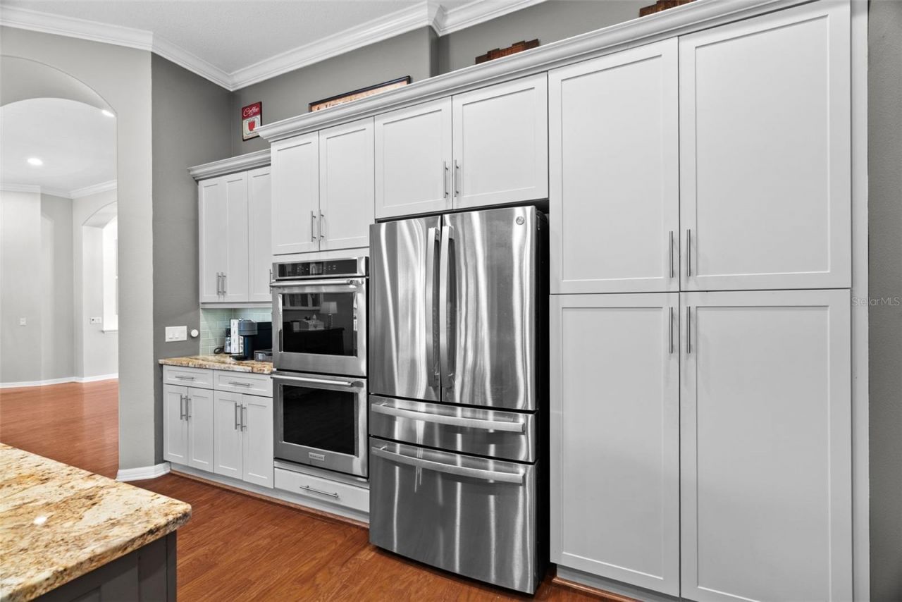 21300 Sky Vista Drive, Land O Lakes, FL 34637 Photo