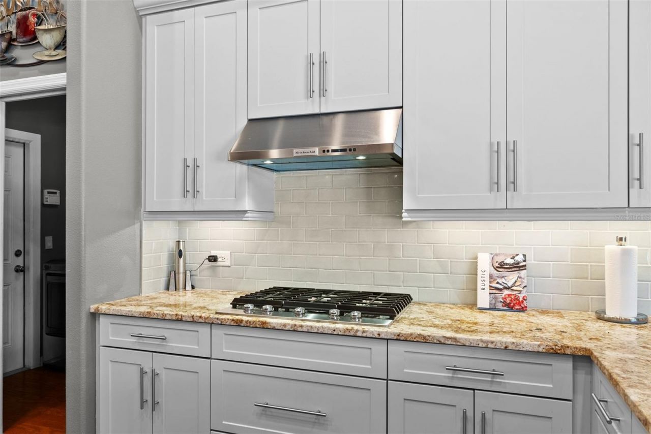 21300 Sky Vista Drive, Land O Lakes, FL 34637 Photo