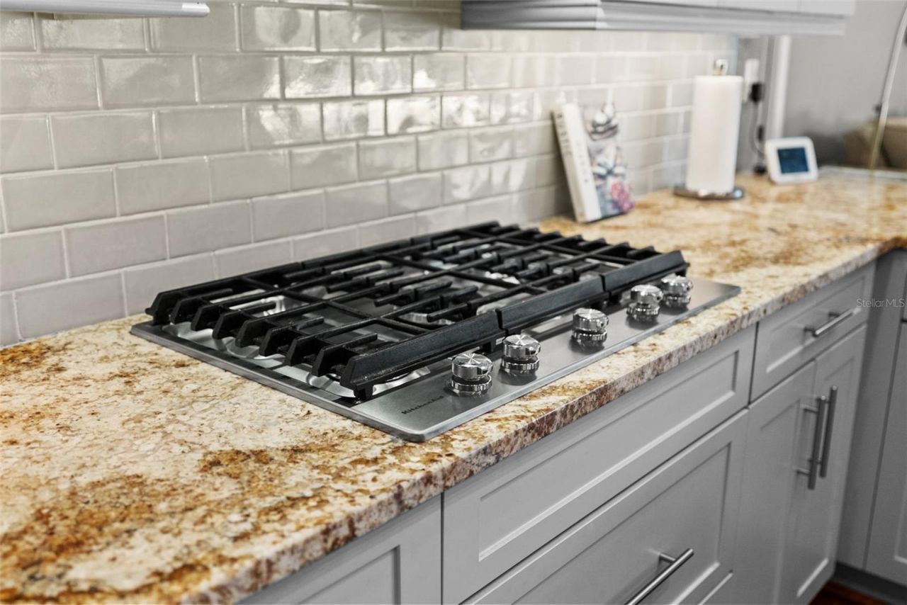 21300 Sky Vista Drive, Land O Lakes, FL 34637 Photo