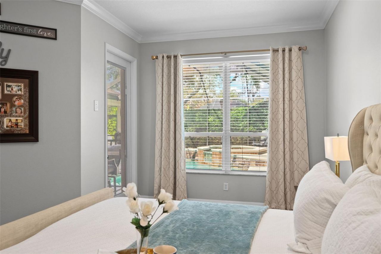 21300 Sky Vista Drive, Land O Lakes, FL 34637 Photo