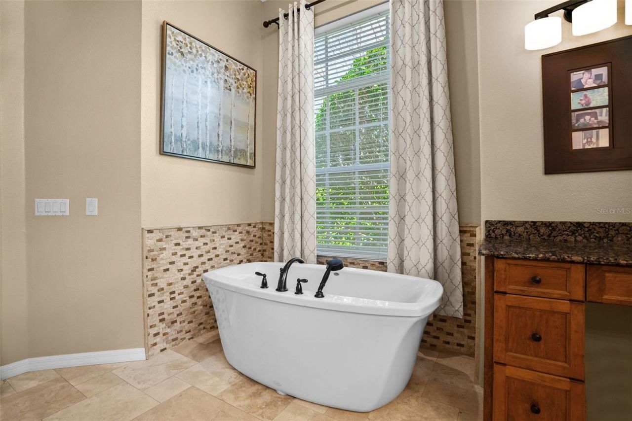 21300 Sky Vista Drive, Land O Lakes, FL 34637 Photo