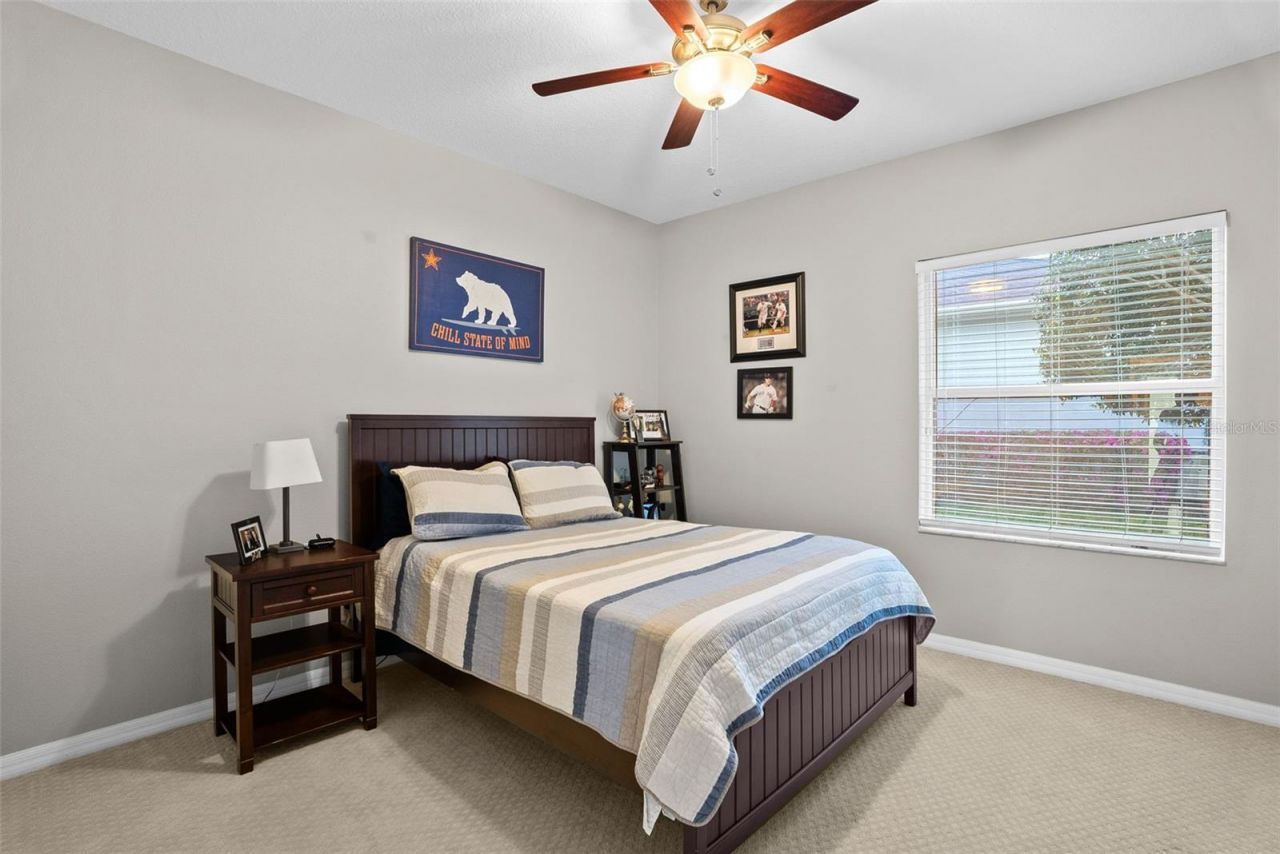 21300 Sky Vista Drive, Land O Lakes, FL 34637 Photo