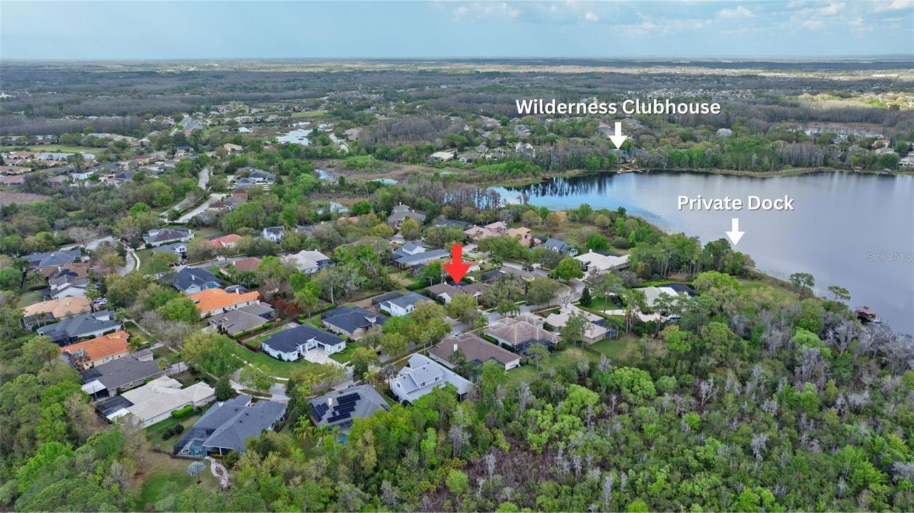 21300 Sky Vista Drive, Land O Lakes, FL 34637 Photo