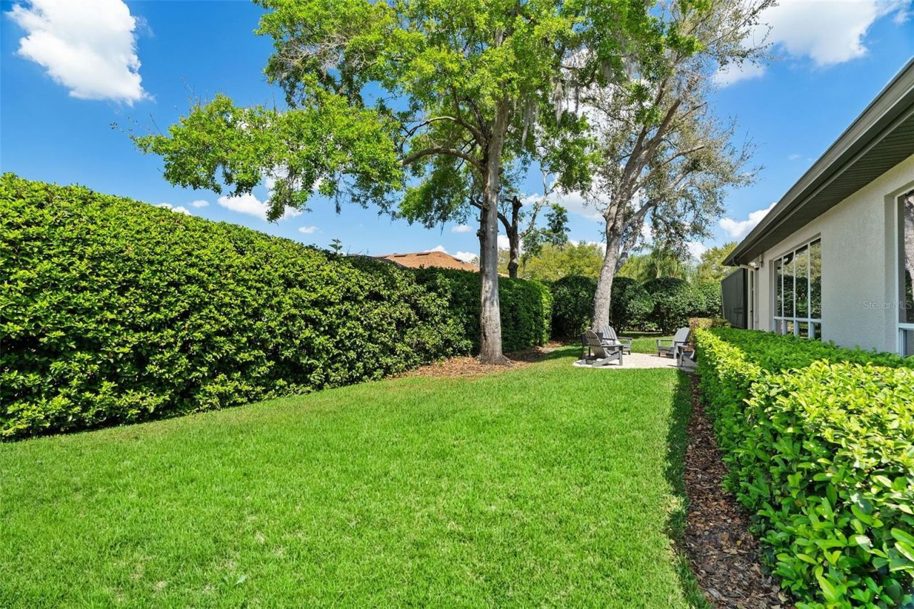 21300 Sky Vista Drive, Land O Lakes, FL 34637 Photo