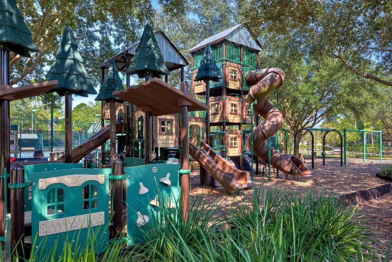 21300 Sky Vista Drive, Land O Lakes, FL 34637 Photo