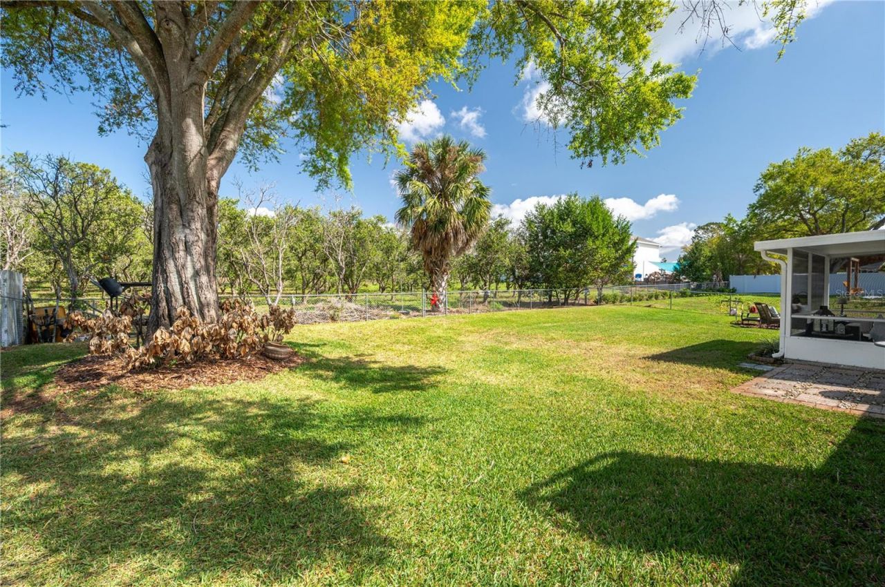 334 Palmview Circle N, Auburndale, FL 33823 Photo