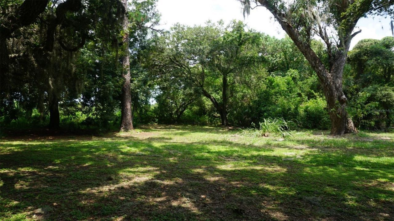 8230 74th Street N, Pinellas Park, FL 33781 Photo