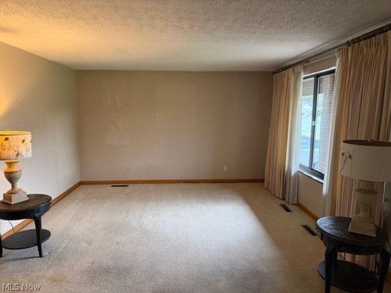 119 E 5th Street, Williamstown, WV 26187 Photo 3