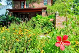 50 Dunnemann Avenue photo 4