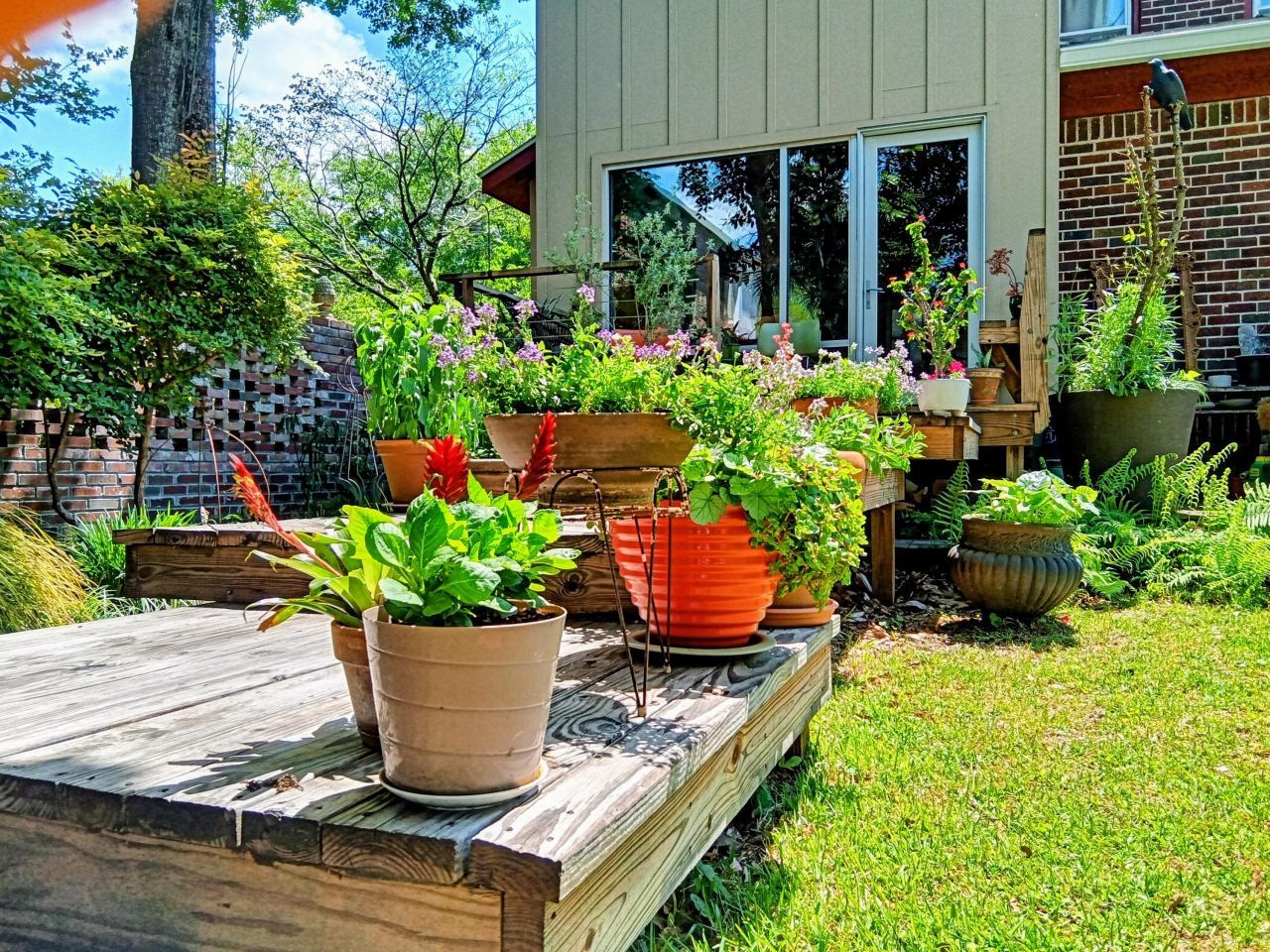 50 Dunnemann Avenue Photo 27