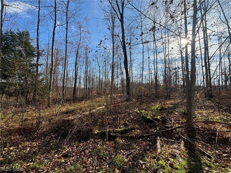 10765 Bell Road, Newbury, OH 44065 Photo 28