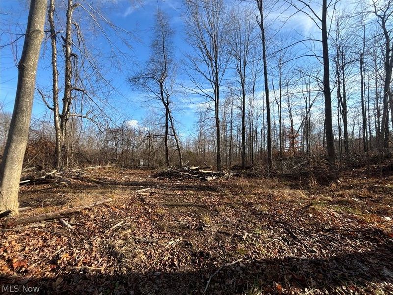 10765 Bell Road, Newbury, OH 44065 Photo 39