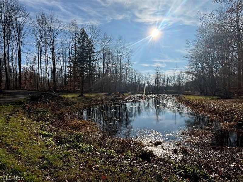 10765 Bell Road, Newbury, OH 44065 Photo 42