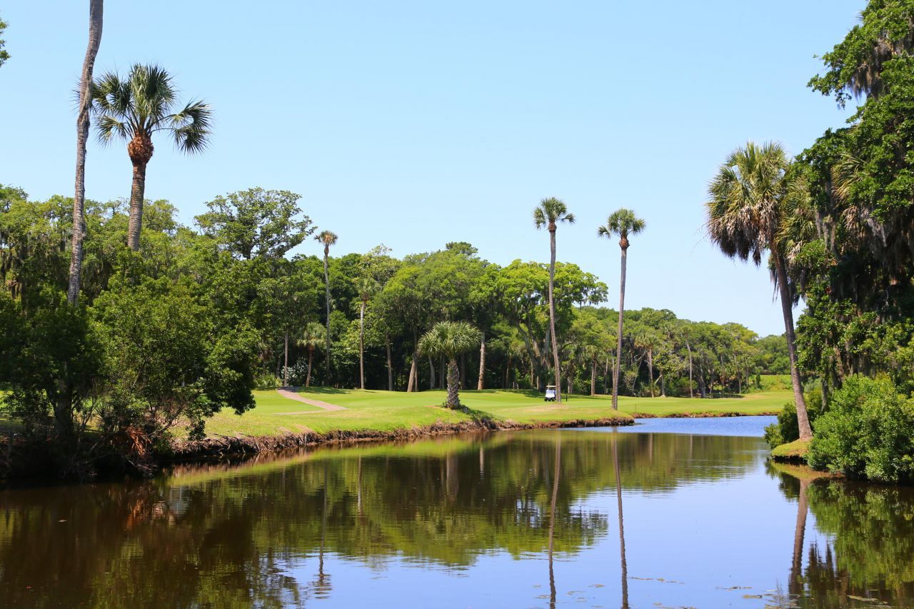 248 Driftwood Lane Photo 29