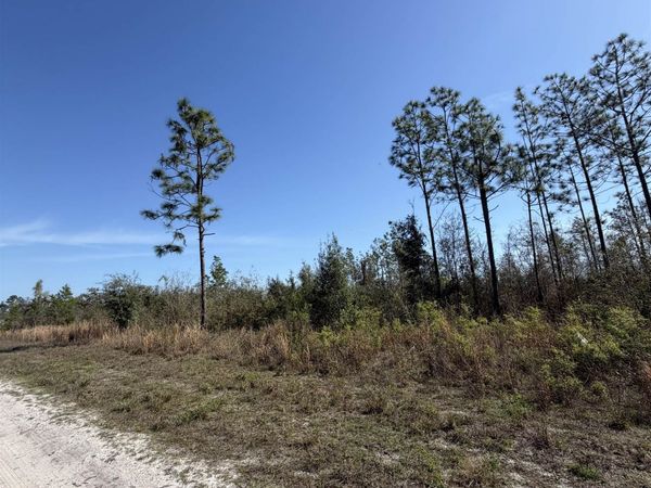 SE COLONIAL Way , Lee, FL 32059