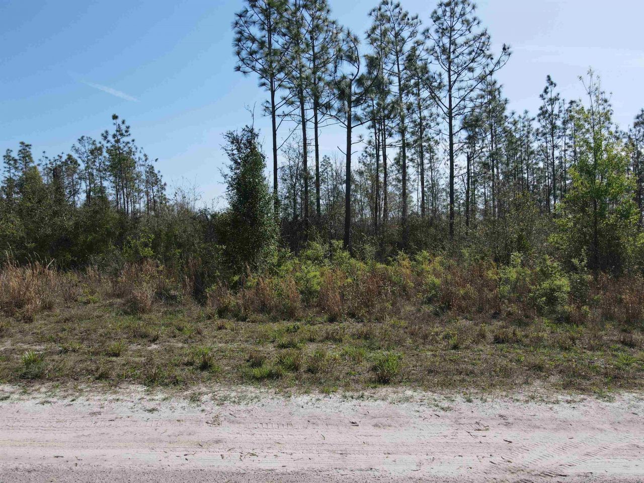 Se Colonial Way, Lee, FL 32059 Photo
