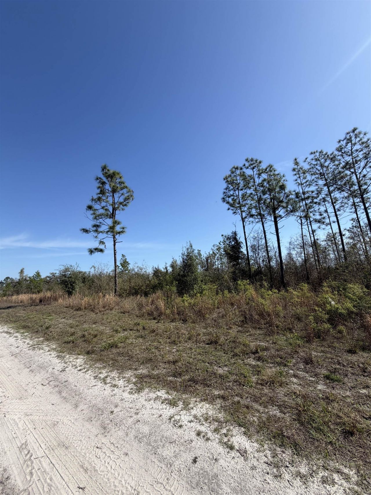 Se Colonial Way, Lee, FL 32059 Photo