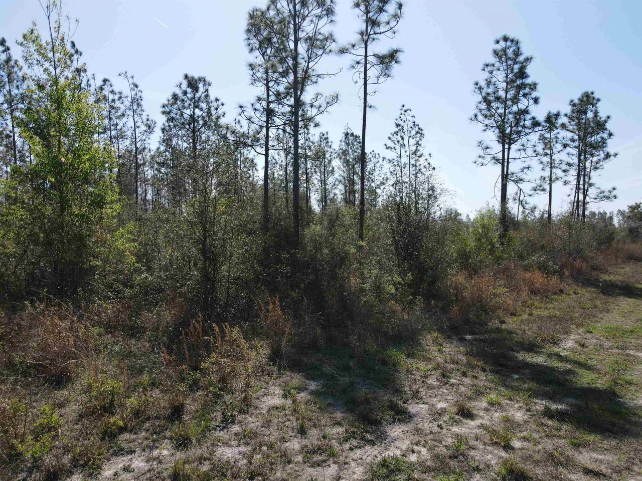 Se Colonial Way, Lee, FL 32059 Photo