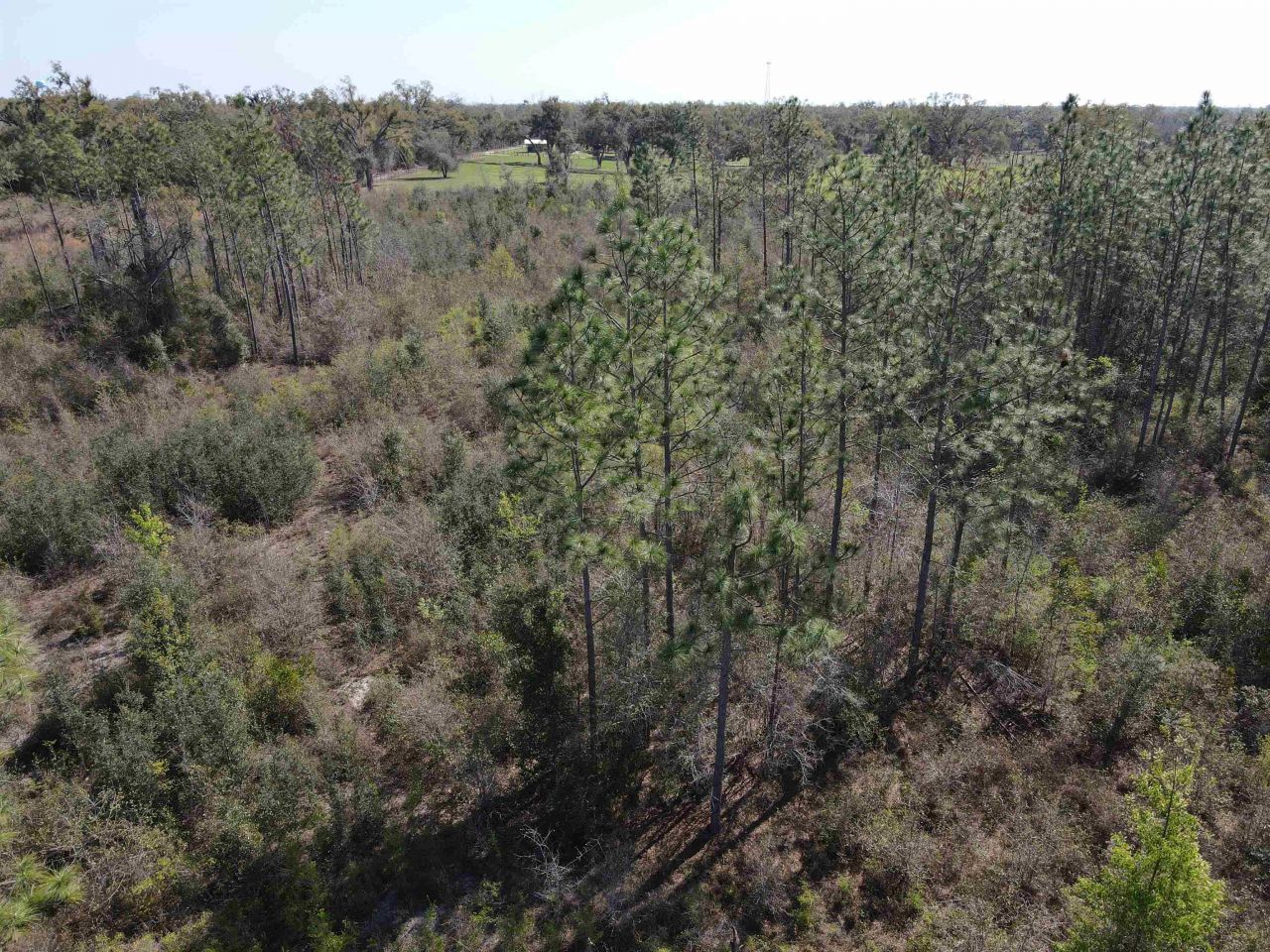 Se Colonial Way, Lee, FL 32059 Photo