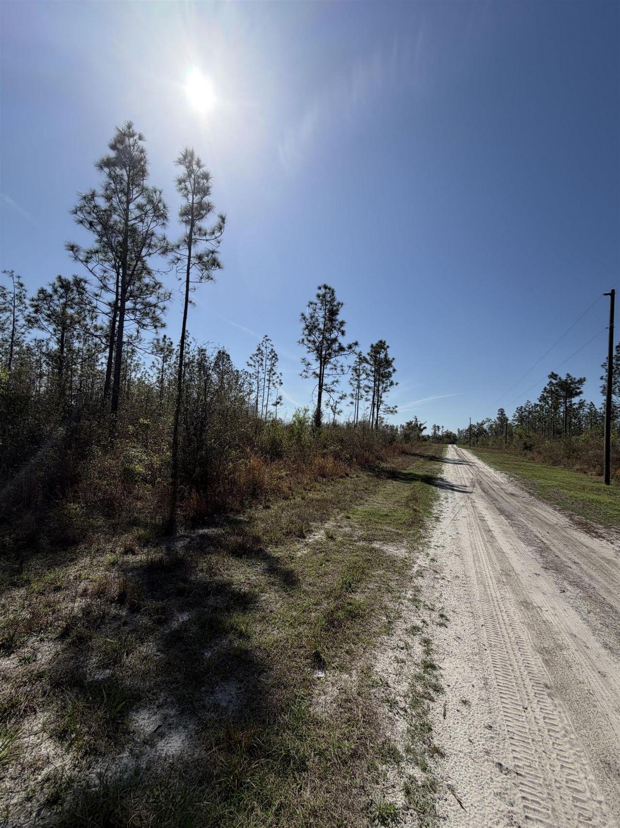 Se Colonial Way, Lee, FL 32059 Photo