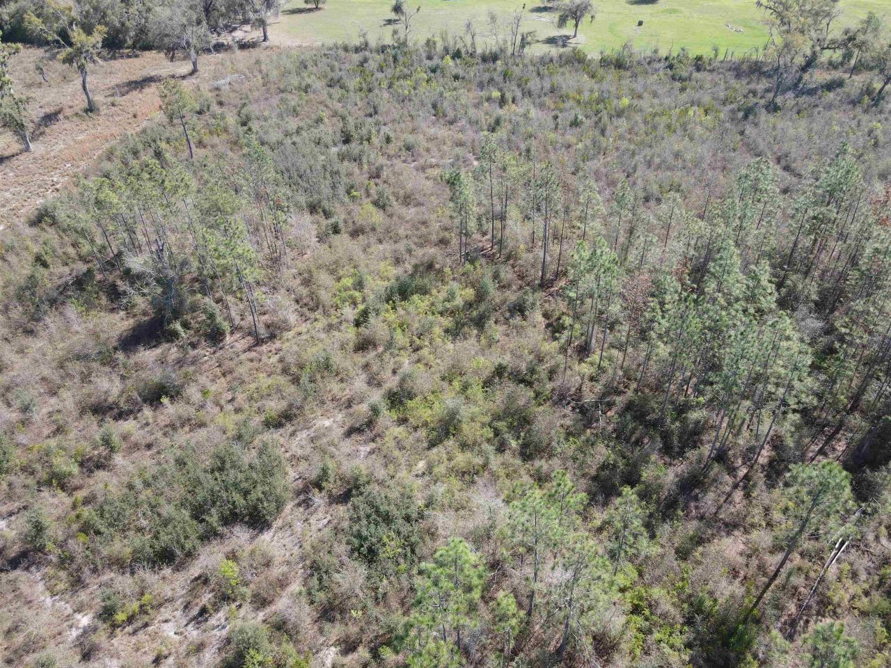 Se Colonial Way , Lee, FL 32059 Photo