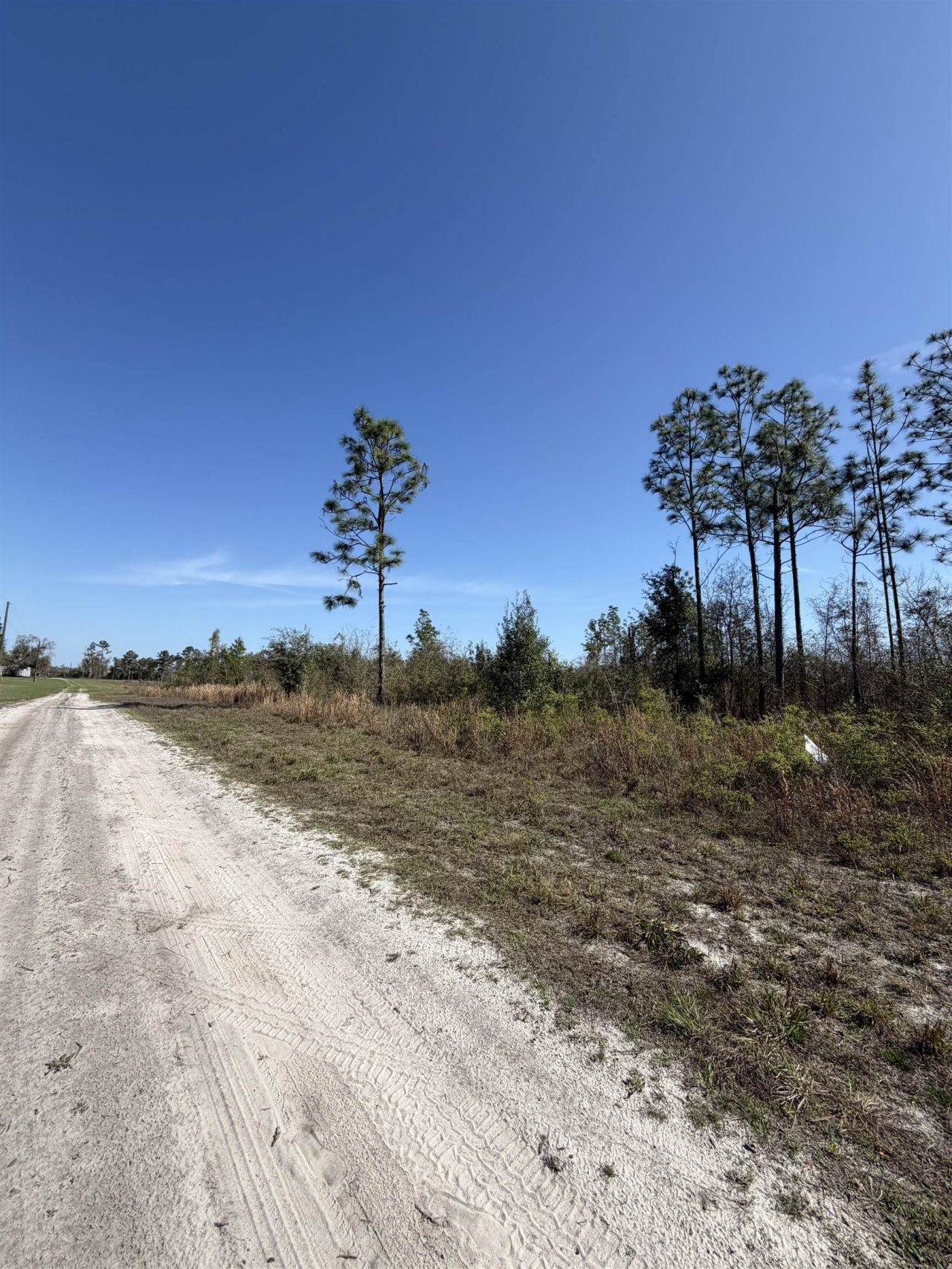 Se Colonial Way, Lee, FL 32059 Photo