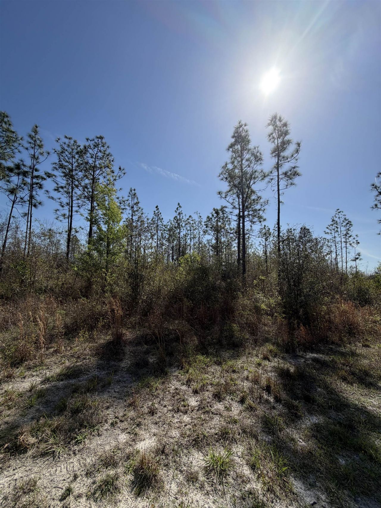 Se Colonial Way, Lee, FL 32059 Photo